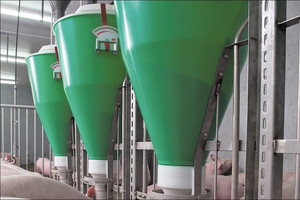 3in1 NX feeder
