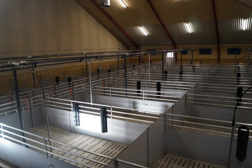 Apercu de l'engraissement Apercu de l'engraissement
