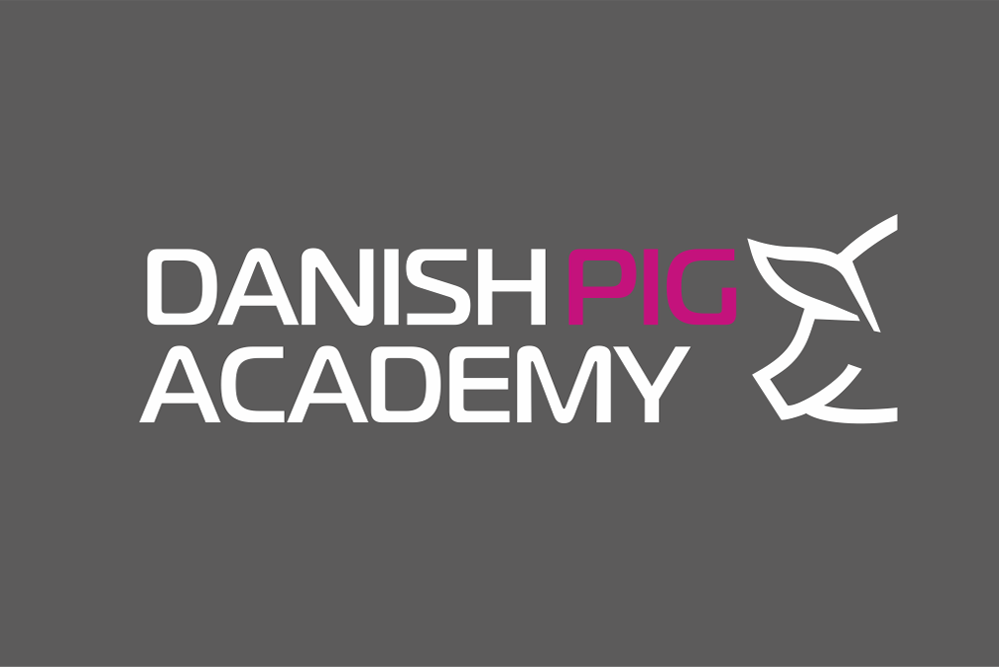 Danish Pig Academy