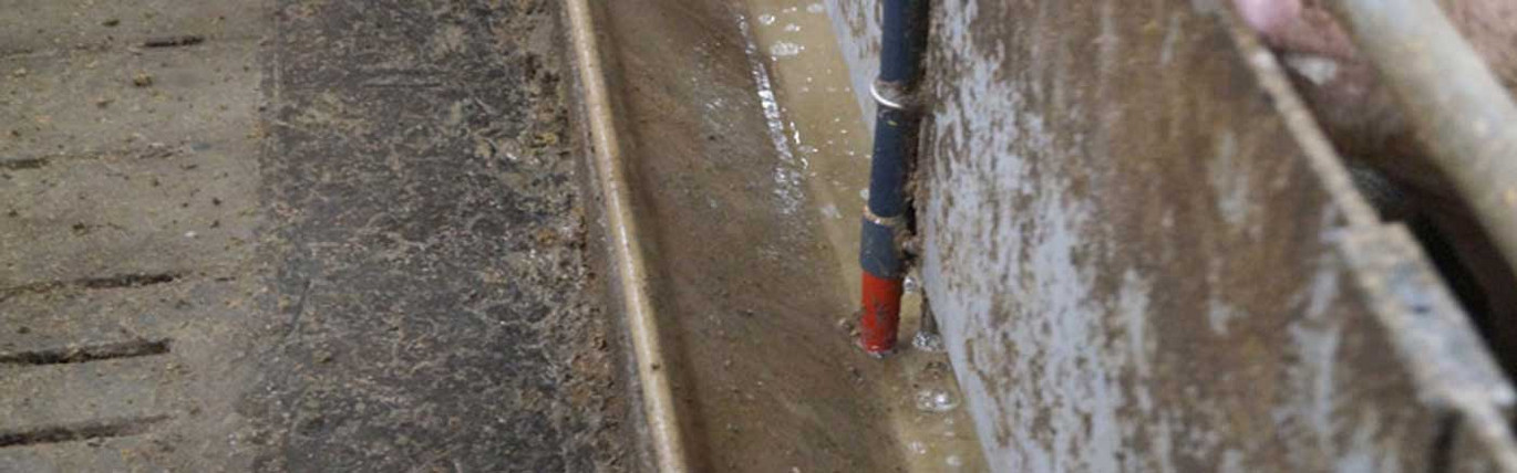 Sonde d'alimentation