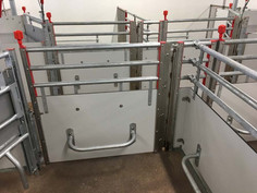 Case de mise bas FT 30