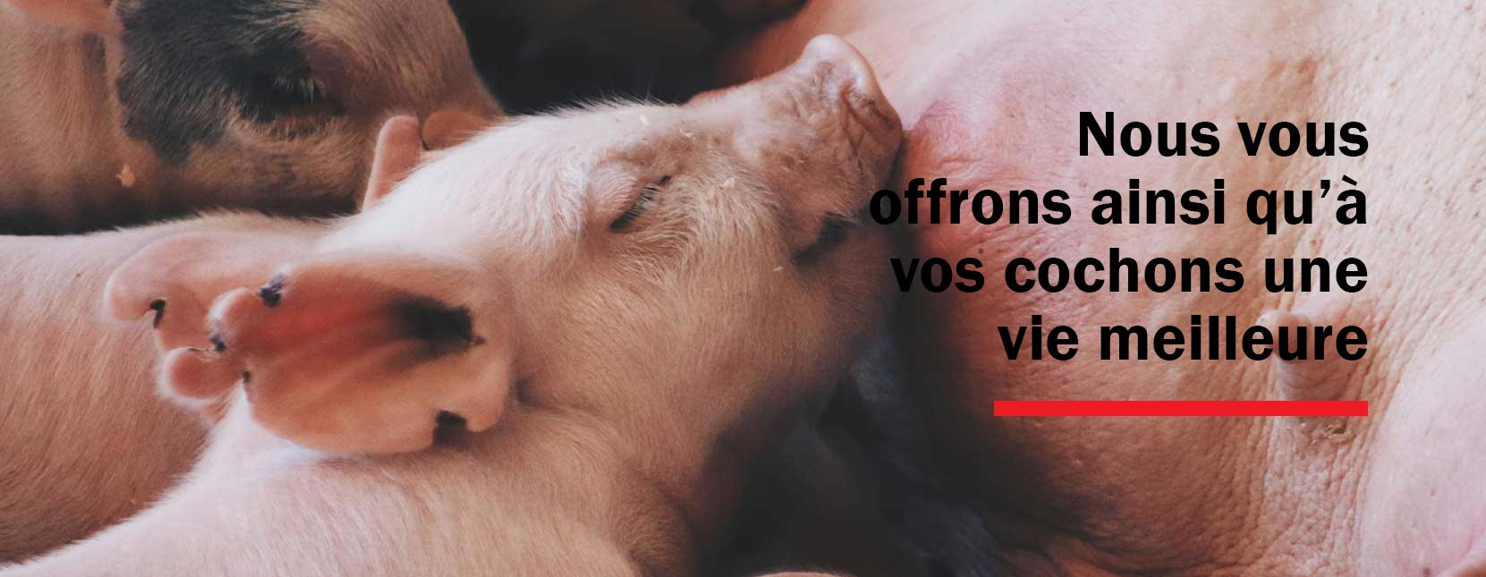 Bienvenue chez ACO FUNKI
