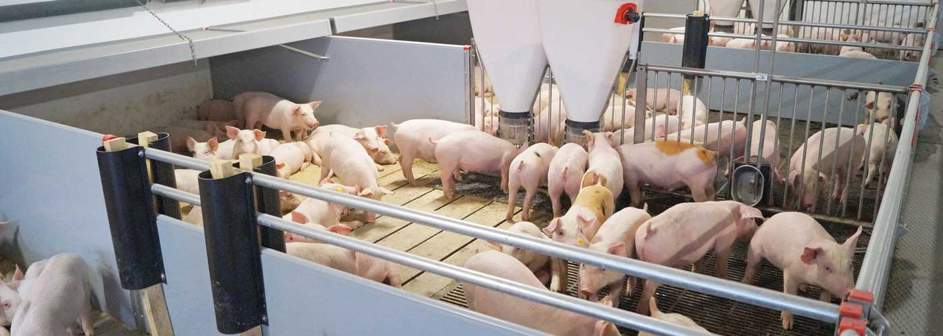 Weaners unit Clean-o-Flex Weaners unit Clean-o-Flex