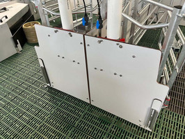 IMG-20241211-WA0019
