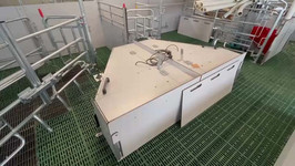 VID-20250206-WA0005