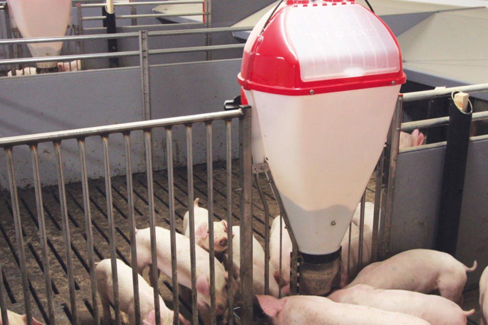 Alimentation sèche
