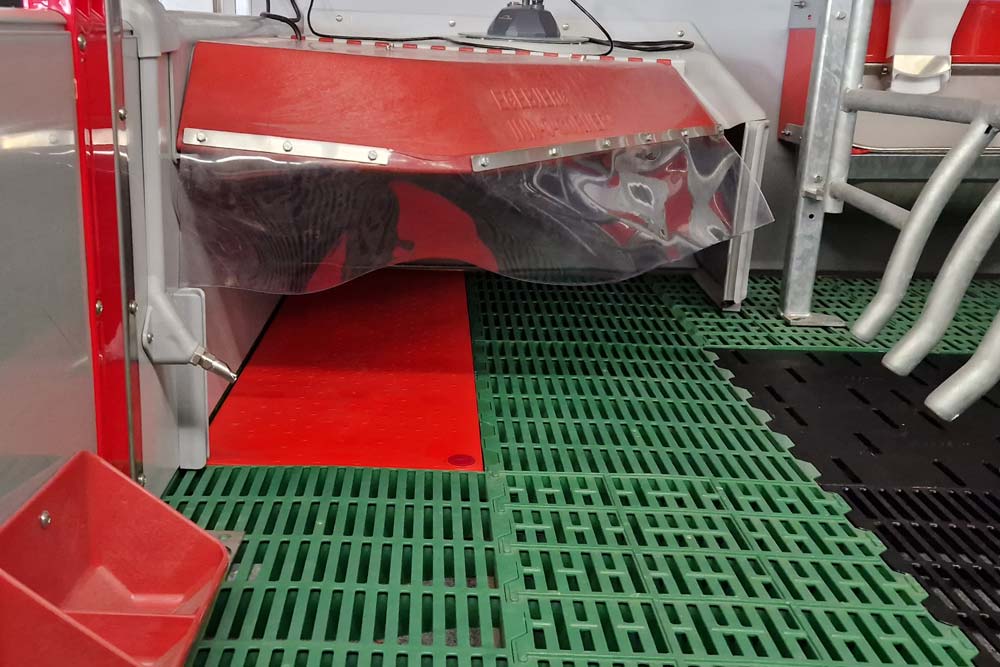 Heating-plate-for-piglets-red-PVC-water